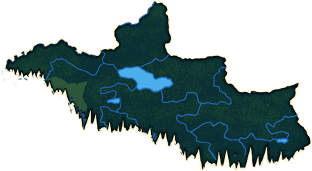 zone foret